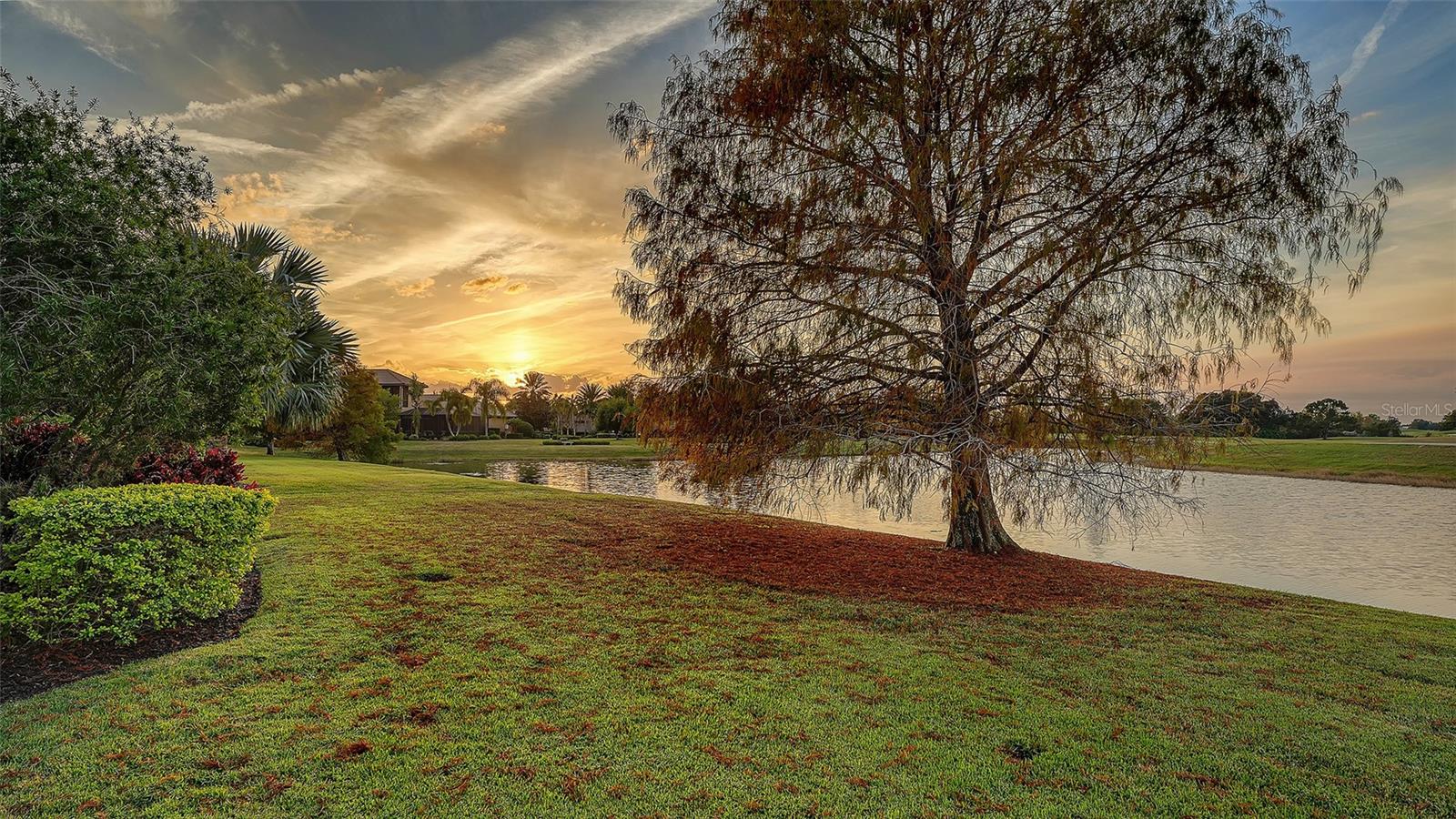 COUNTRY CLUB EAST AT LAKEWOOD RANCH - Residential