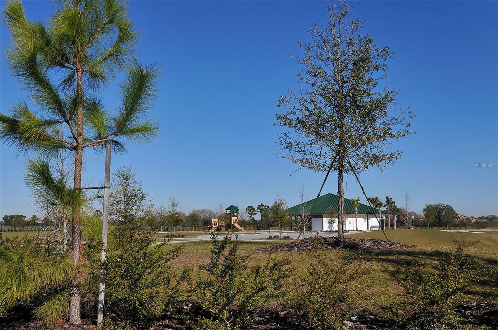 COUNTRY CLUB EAST AT LAKEWOOD RANCH - Residential