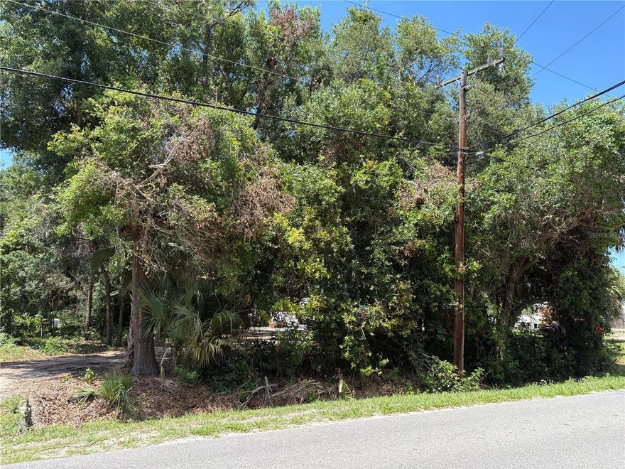 Build your Florida dream near the water! This vacant land parcel located at 168 Canal Ave in Oak Hill offers the perfect opportunity to create your ideal home, vacation getaway, or investment property. Conveniently situated just minutes from the beautiful Atlantic beaches, the Indian River, and easy access to major highways, this property combines peaceful small-town living with nearby recreation and accessibility. Enjoy boating, fishing, kayaking, and outdoor adventures while still being within reach of shopping, dining, and popular coastal destinations. Whether you’re looking to build now or invest for the future, this property offers endless potential in a growing area of Florida’s east coast.
