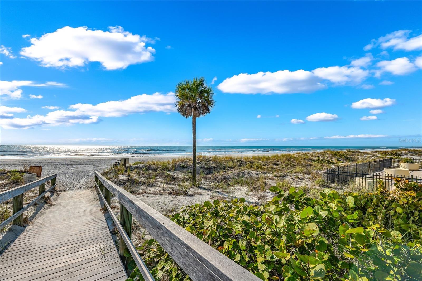 BELLARTE ON THE GULF CONDO RESIDENCE - Residential