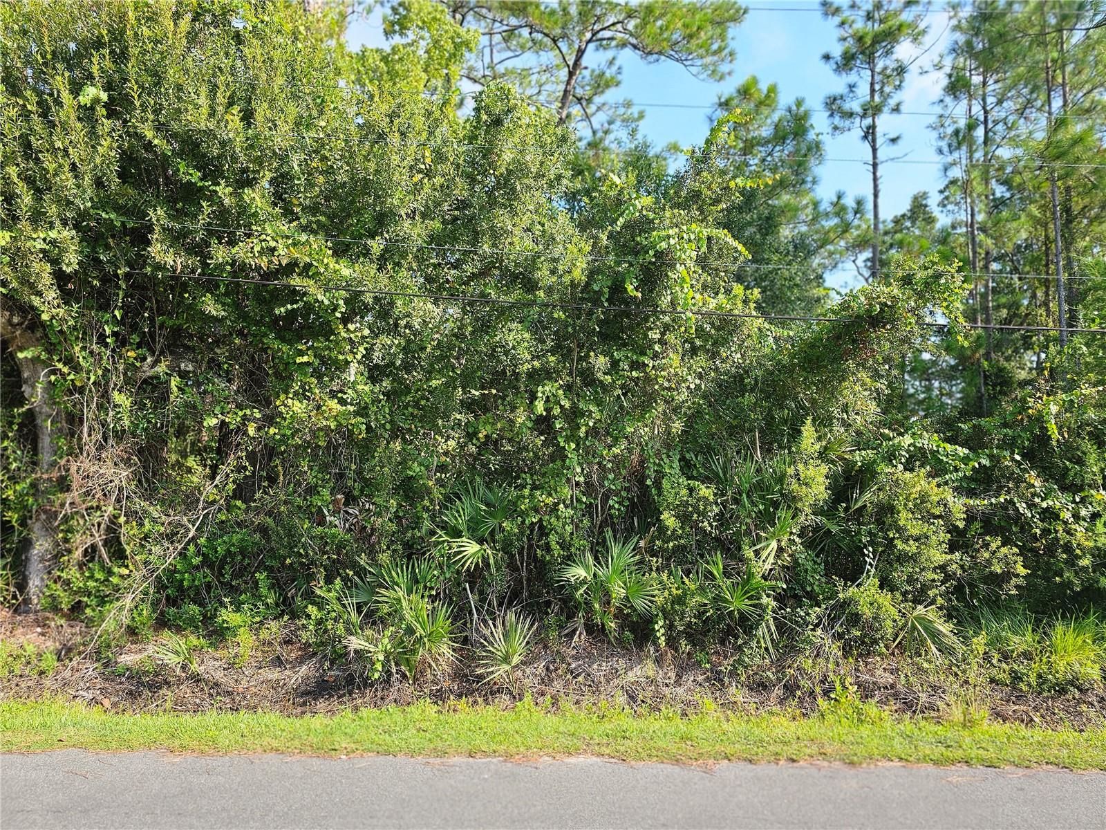 HOME AT 801 FRANZ IS NOT FOR SALE - OWNER IS SELLING LOTS 57 AND 58 WITH FRONTAGE ON FOURTH STREET. THEY ARE VACANT AND WILL BE SPLIT OFF FROM HOUSE AND TWO LOTS AT CLOSING. You can build a small home on each lot or you can build a home in the middle of both lots. These lots are located off of the Deen Road community in Bunnell in a very quaint neighborhood. City water and sewer are available and the responsibility of the buyer when building.