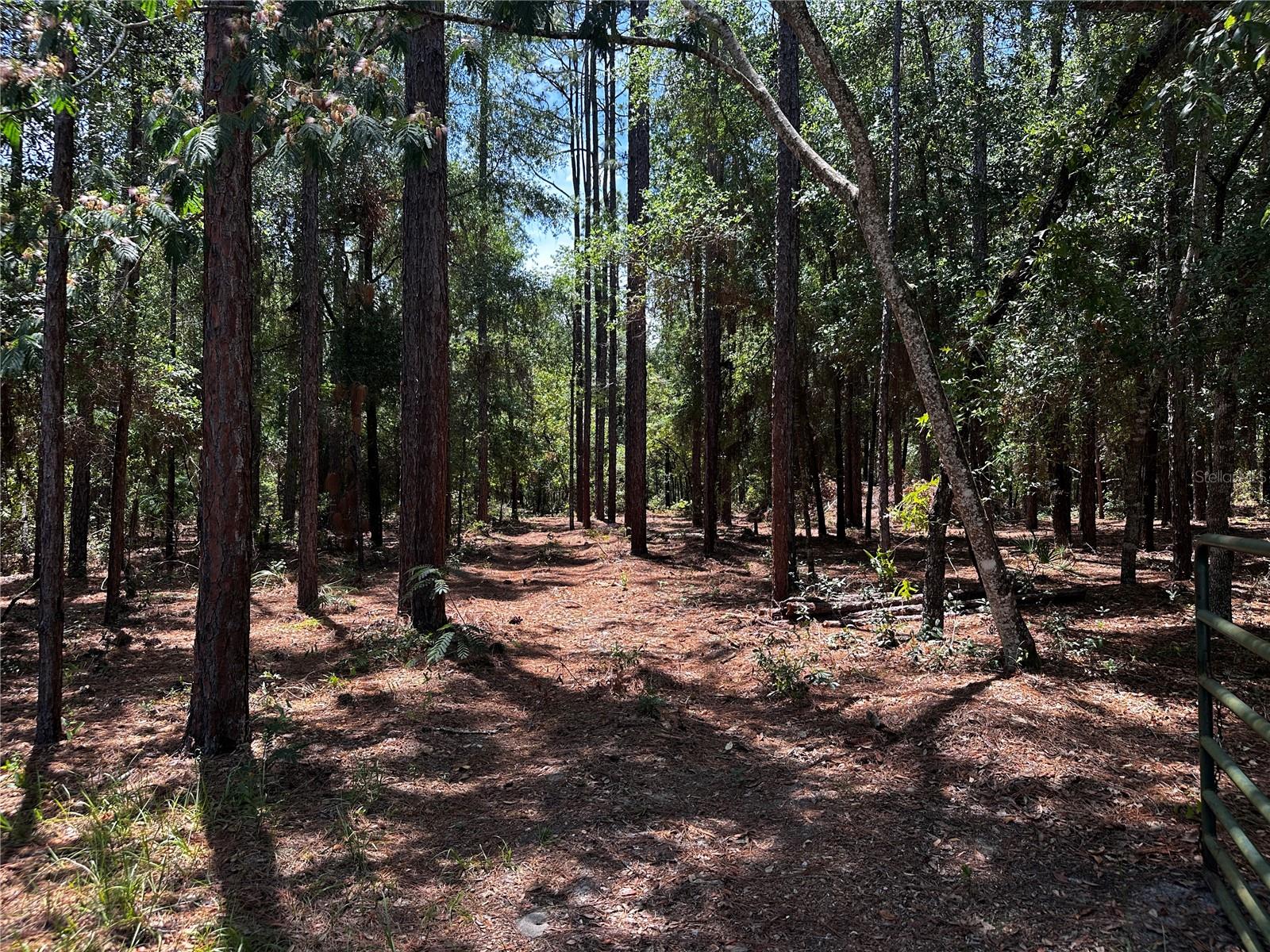 LAKE TROPICANA RANCHETTES - Residential