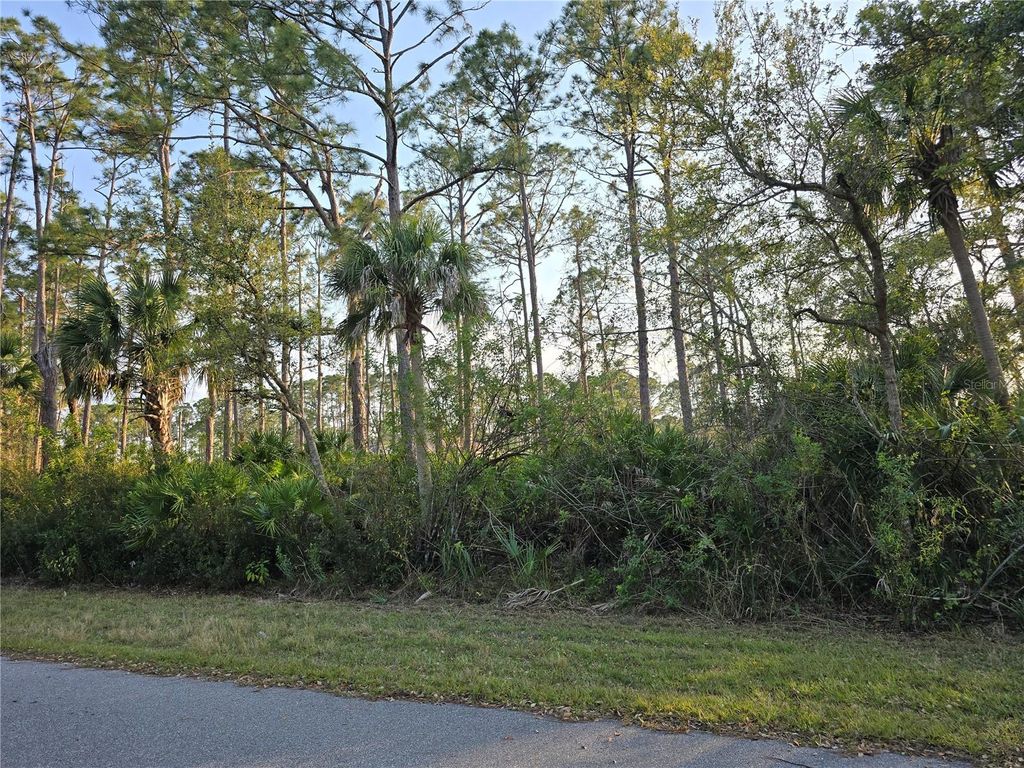 Photo of 12469 Harlow Avenue, Port Charlotte, FL 33953 (MLS # C7506800)