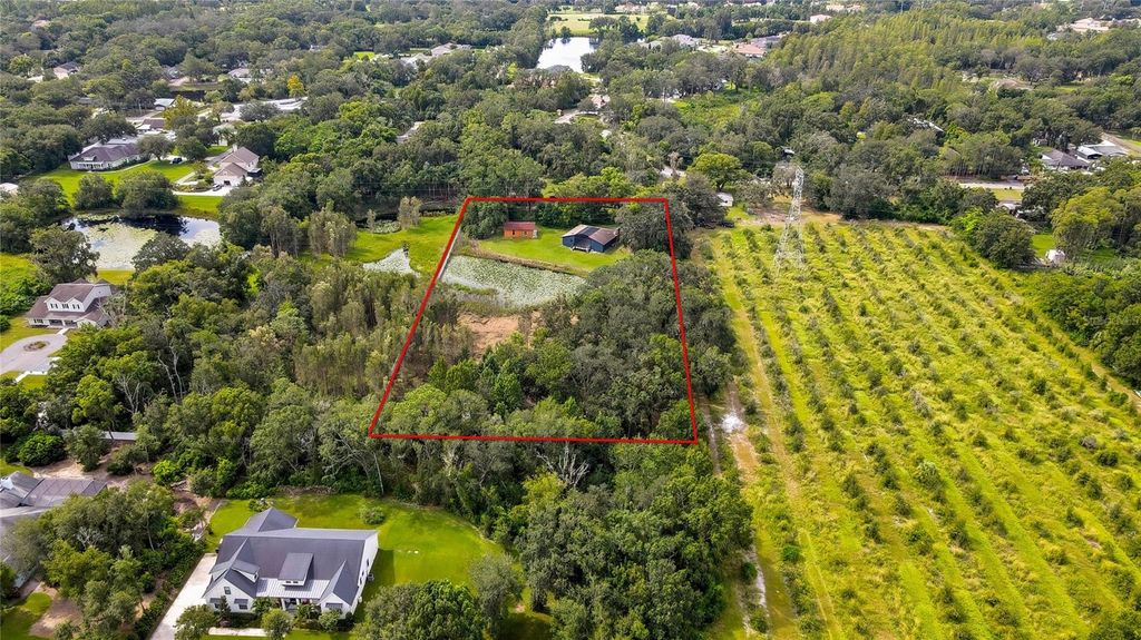 Photo of 825 Crenshaw Lake Road, Lutz, FL 33548 (MLS # TB8423476)