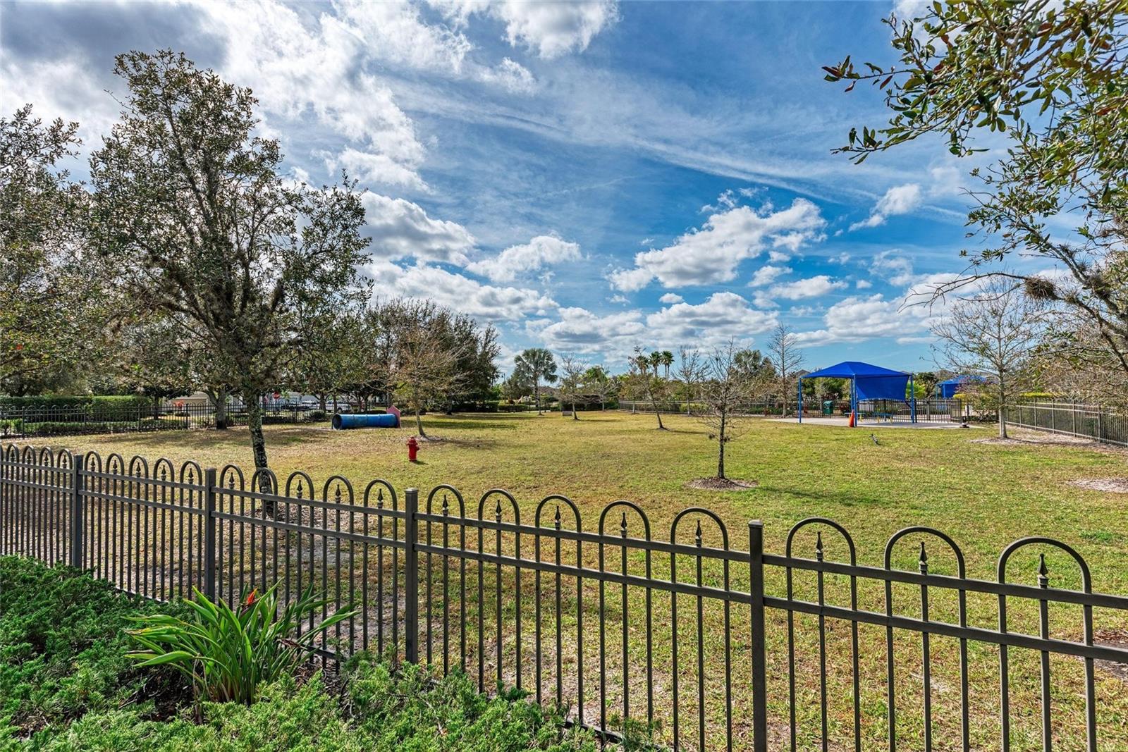 CENTRAL PARK - Residential