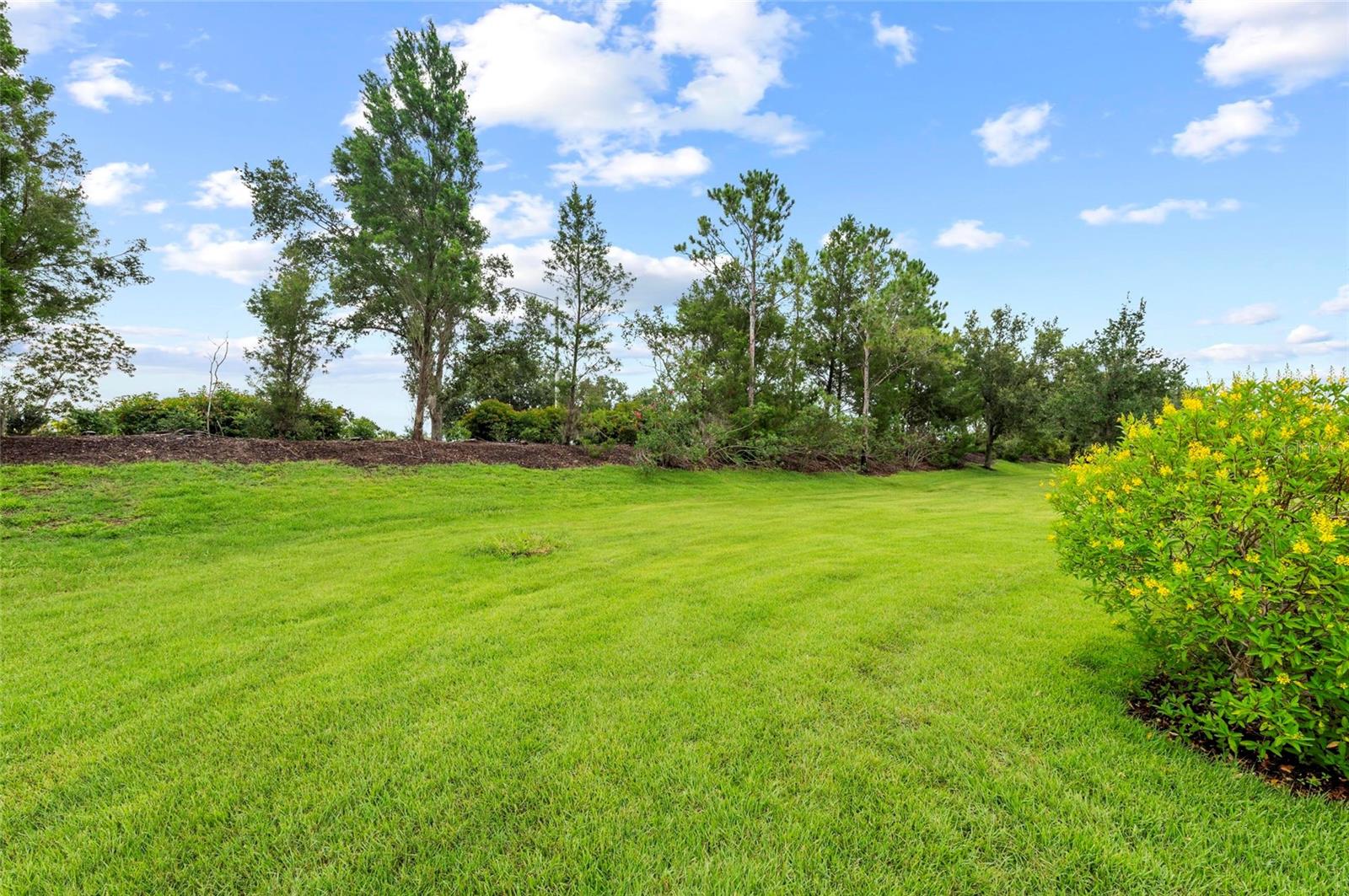 CENTRAL PARK - Residential