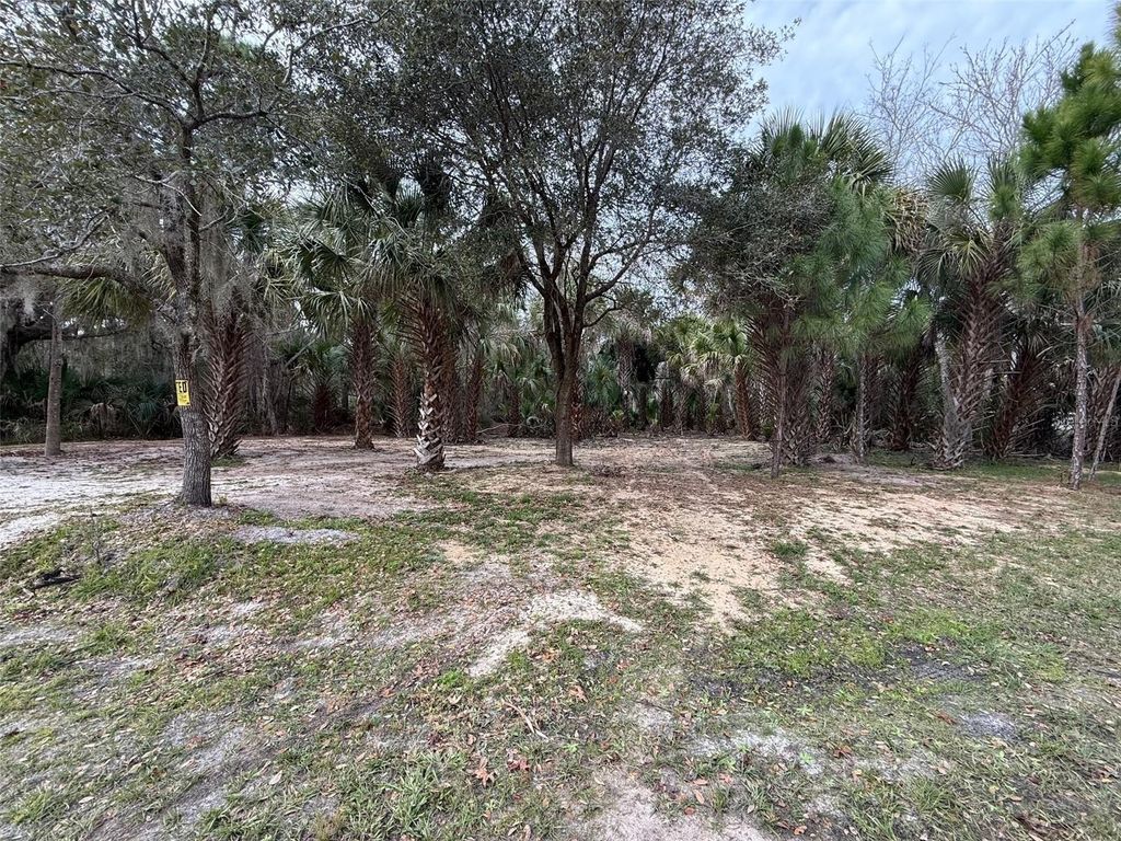 Photo of Highlander Drive, Edgewater, FL 32759 (MLS # NS1087104)