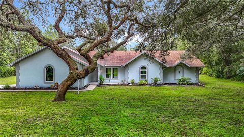 Photo of 884 W Massachusetts Street, Hernando, FL 34442 (MLS # W7877342) Photo of 884 W Massachusetts Street, Hernando, FL 34442 (MLS # W7877342)