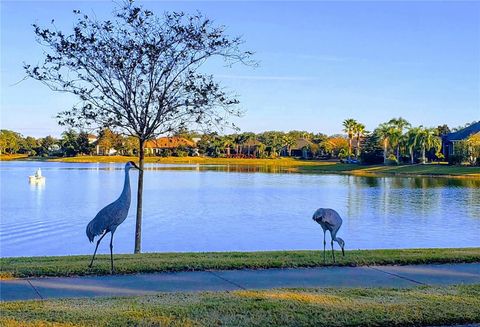 A home in MOUNT DORA