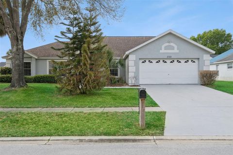 2130 PEKOE COURT CLERMONT FL 34714