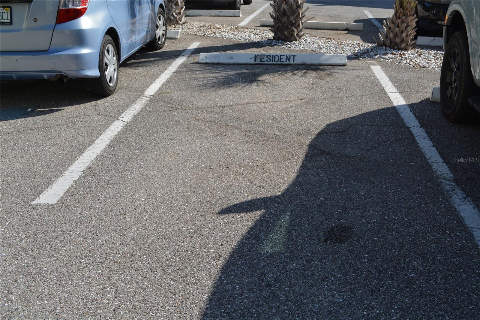 PALMA CEIA GARDENS CONDO - Residential