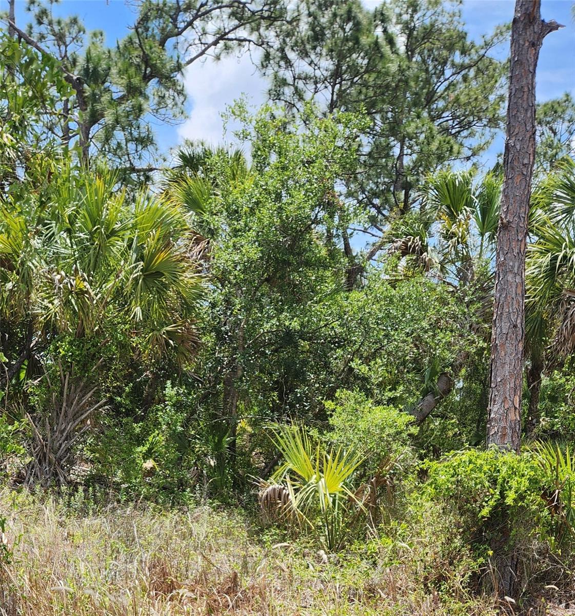 PORT CHARLOTTE SUB 12 - Land