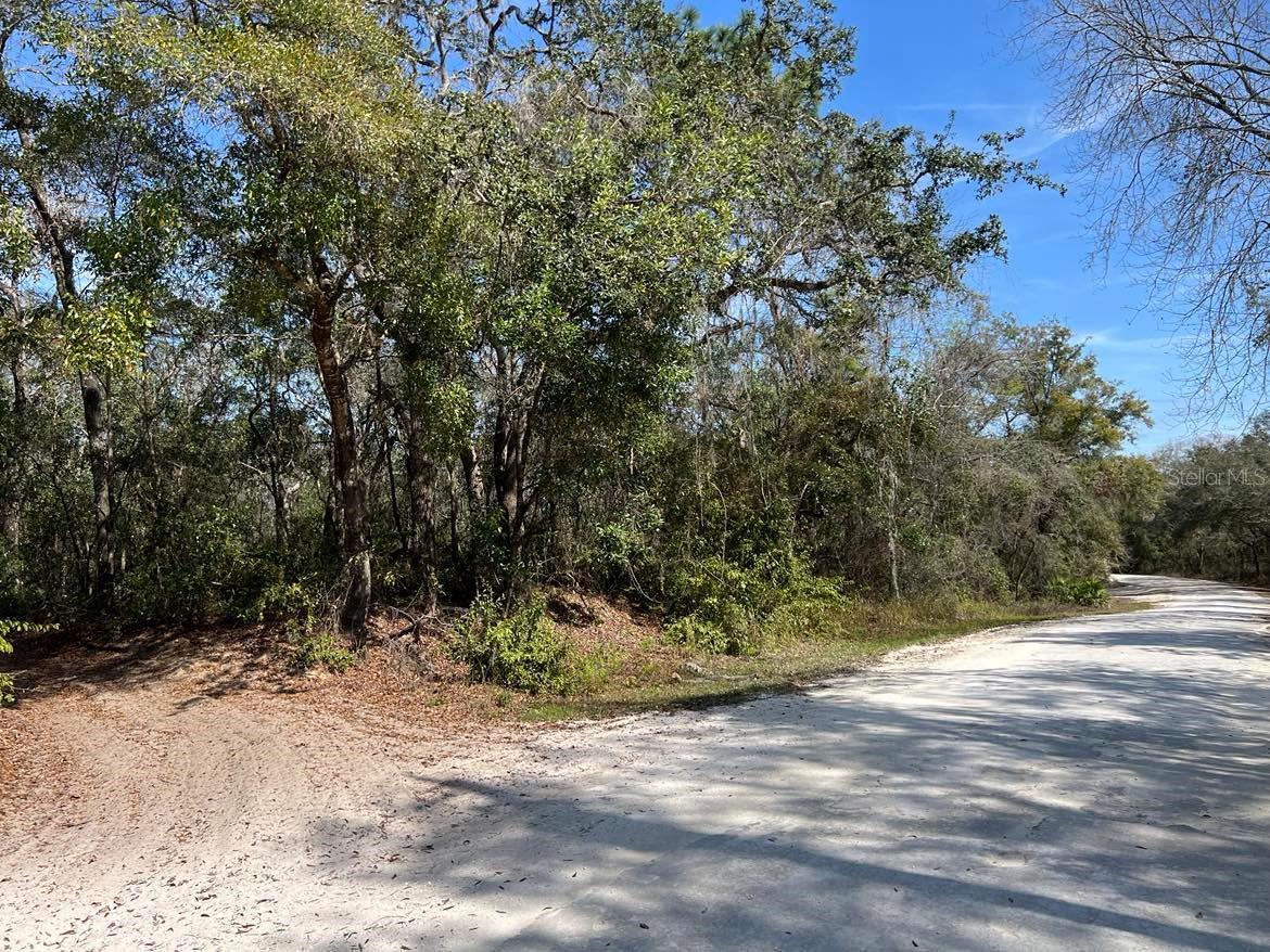 RIDGE MANOR ESTATE - Land