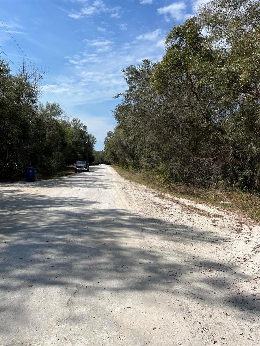 RIDGE MANOR ESTATE - Land