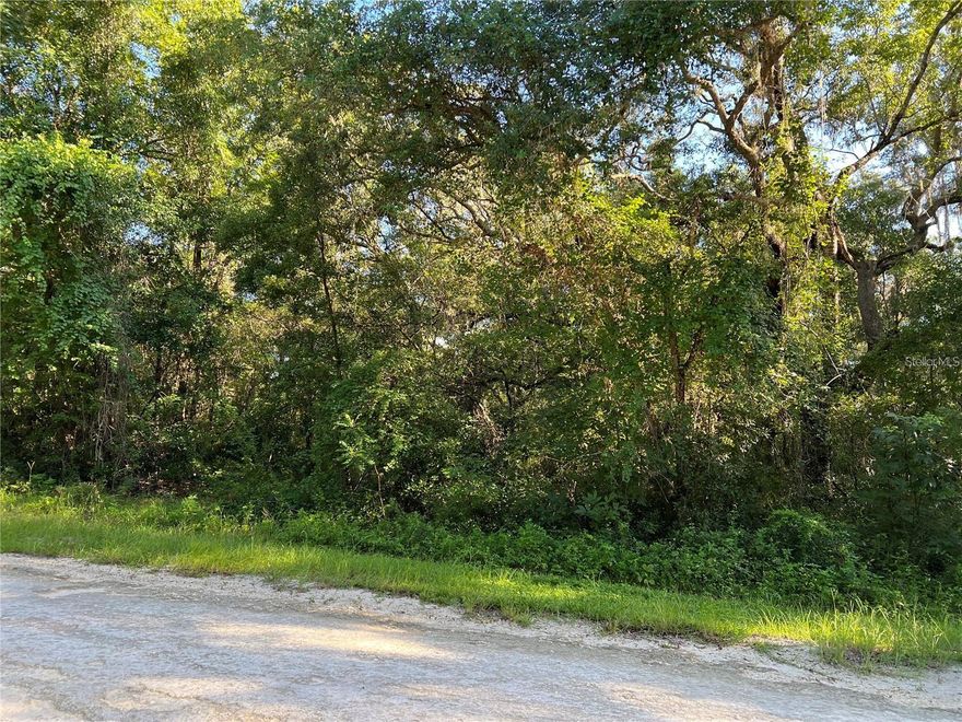 This incredible vacant lot presents an exciting opportunity to build your dream home in a serene and picturesque rural neighborhood. Located in a tranquil setting, the property backs up to a peaceful lake, offering stunning water views and a calming, natural ambiance. Imagine relaxing by the water, enjoying the beauty of the lake, and embracing the quiet surroundings. The lot is generously sized with a gentle slope in the rear of the property, providing the ideal foundation for your custom home, whether you are envisioning a cozy retreat or a spacious residence. There is plenty of space for outdoor features like a garden, fire pit, all while maintaining your own privacy in this quiet enclave. For those who need to commute or travel frequently, the property is conveniently located near major highways, allowing for quick access to the surrounding areas. Whether you want to enjoy the tranquility of your lakeside retreat or need to head into town for work, shopping, or entertainment, you will enjoy the best of both worlds: peaceful living with all the conveniences of modern life just around the corner. Do not miss the chance to own a piece of this serene paradise and create the home you have always dreamed of.