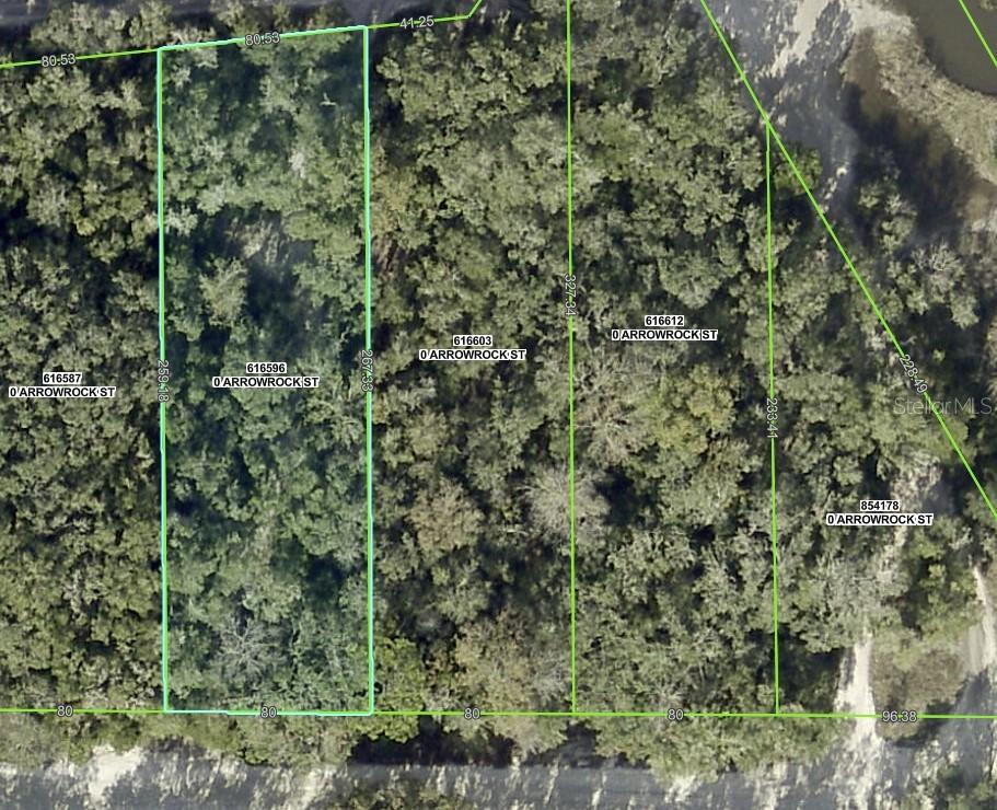 RIDGE MANOR ESTATE - Land