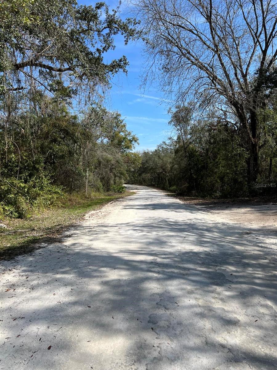 RIDGE MANOR ESTATE - Land