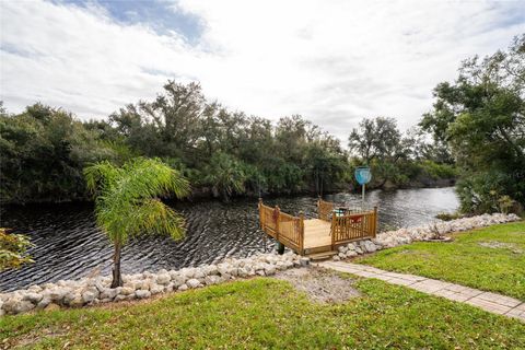 A home in PORT CHARLOTTE