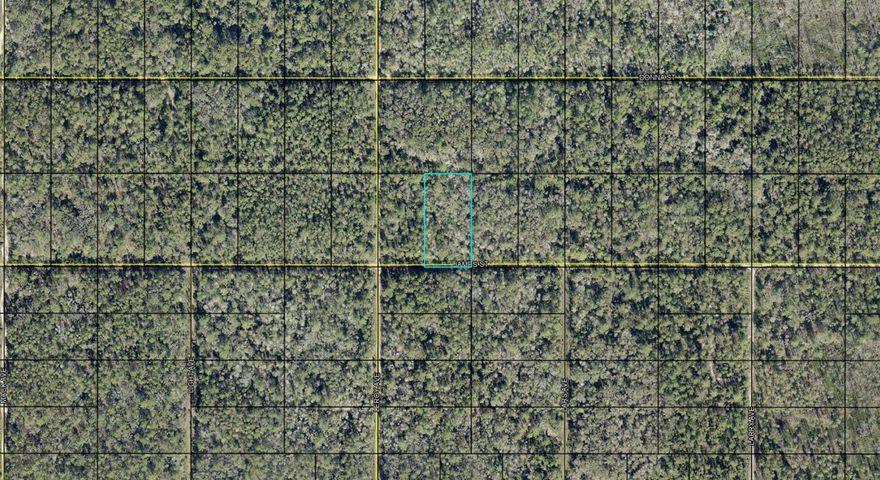 This is an assignment of contract. Escape the city and embrace the beauty of country living with this oversized wooded lot located on James Street in the desirable Flagler Estates community of Hastings, Florida. Surrounded by natural Florida landscape and peaceful privacy, this property offers the perfect setting to build your dream home, place a manufactured home, create a weekend retreat, or secure a long-term investment in one of the area's growing communities.

This spacious parcel provides plenty of room for your custom home, garage, workshop, RV, boat, garden, or outdoor recreational space while still maintaining the privacy and tranquility that Flagler Estates is known for. Enjoy the charm of rural living without sacrificing convenience, as the property is within driving distance to St. Augustine, Palm Coast, Palatka, beaches, shopping, restaurants, schools, and major highways.

With new development continuing throughout the area, this property presents an excellent opportunity for builders, investors, or buyers looking to own affordable Florida land with future potential. Whether you are ready to build now or buy and hold, this lot offers flexibility, value, and endless possibilities in a peaceful natural setting.