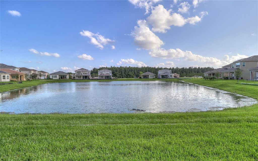 Photo of 31045 Lindentree Drive, Wesley Chapel, FL 33543 (MLS # TB8466042)