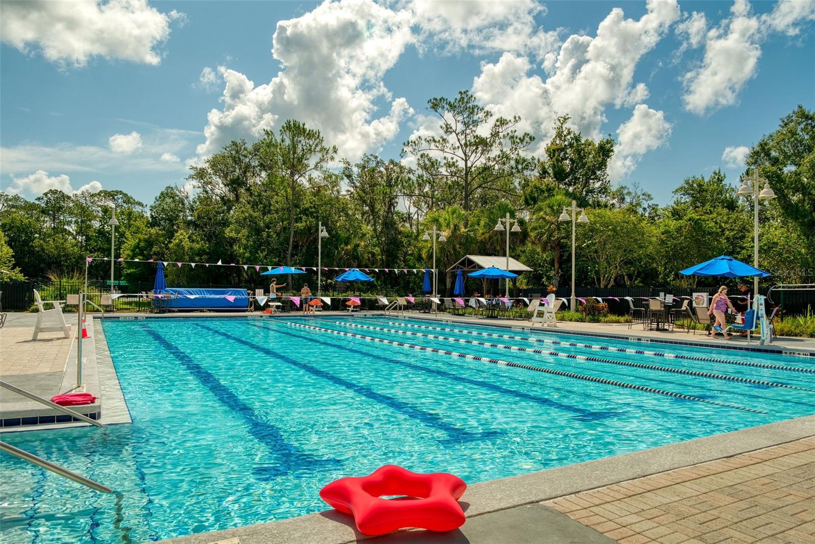 CELEBRATION LAKE EVALYN - Residential