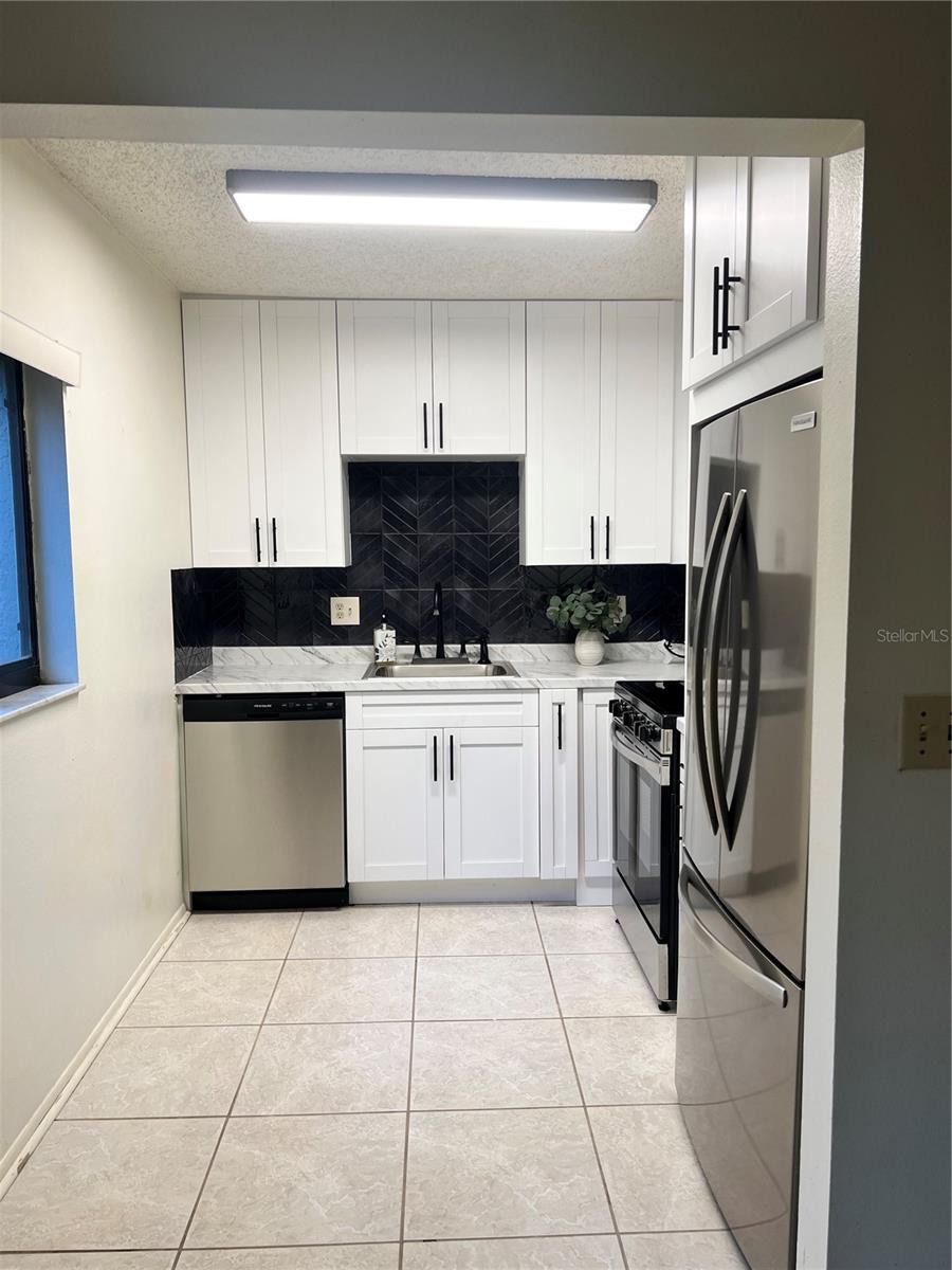 RAINTREE VILLAGE CONDO N - Residential