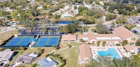 A home in PALM HARBOR