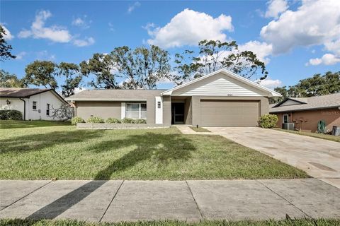 A home in PALM HARBOR