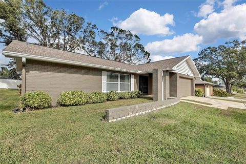 A home in PALM HARBOR