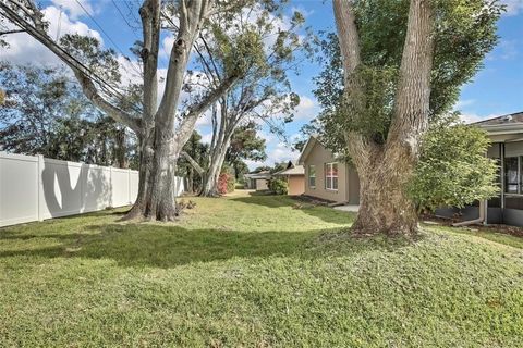 A home in PALM HARBOR