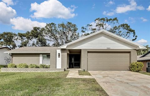 A home in PALM HARBOR