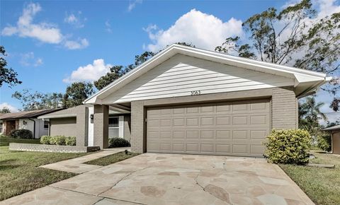 A home in PALM HARBOR