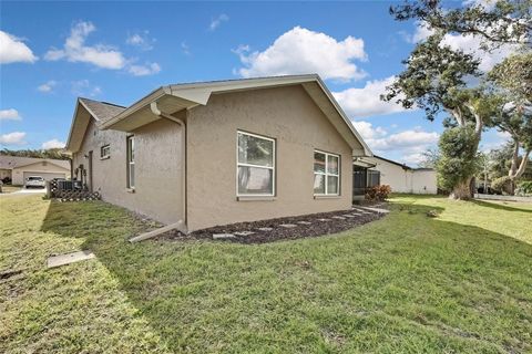 A home in PALM HARBOR