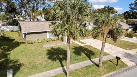 A home in PALM HARBOR