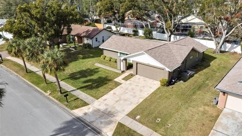 A home in PALM HARBOR