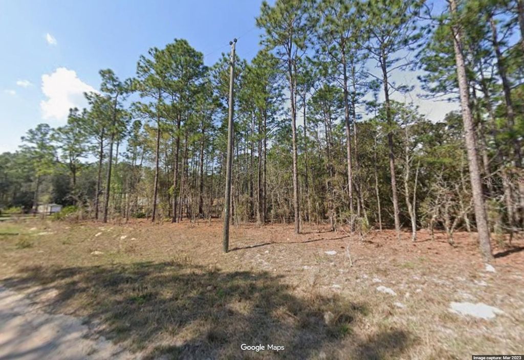 Photo of SW 128th Terrace Road, Ocala, FL 34481 (MLS # O6403835)