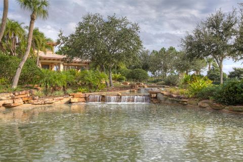 A home in WIMAUMA