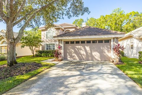 17708 NATHANS DRIVE TAMPA FL 33647