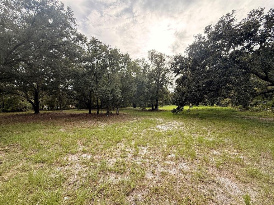 Welcome home to this quiet 2.42 acre lot. This land is situated on turkey creek rd just minutes from Durant High School. the lot has 160 ft of road frontage also. The land has 3 concrete pads on the property already existing and two wells. The land can house up to two homes and no restrictions as to what kind of home you want on the property. So rather it be a RV, Mobile Home, or building a home the options are yours. Also nearby state parks as well, Alderman, Lithia Springs, and Edward Medard Park.