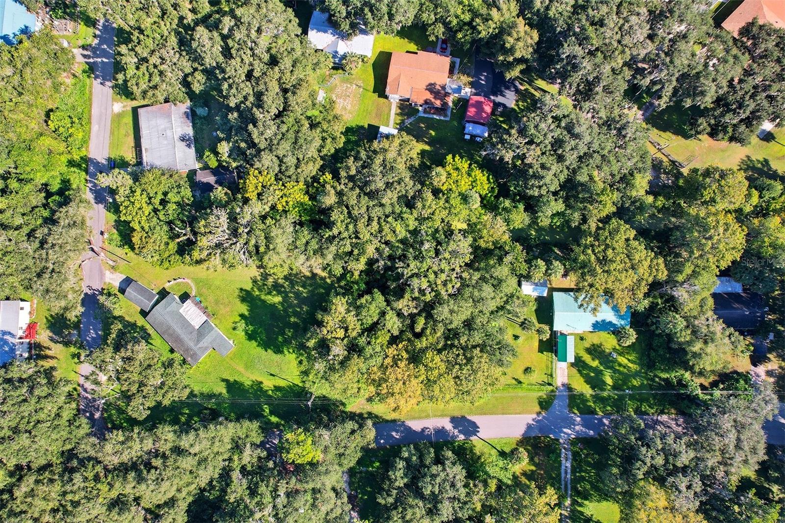 IDLEWILD PARK LAKE PANASOFFKEE - Land