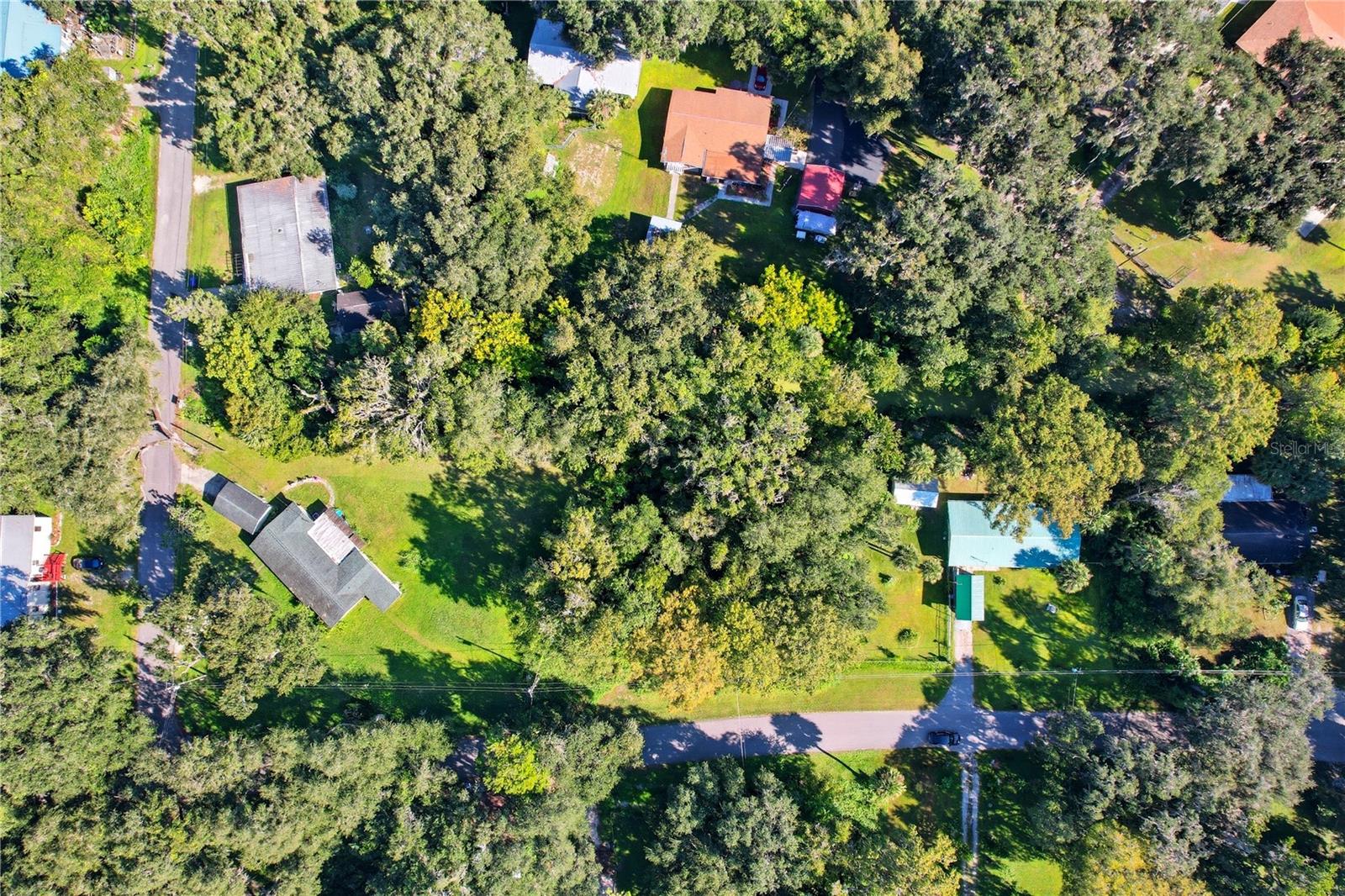 IDLEWILD PARK LAKE PANASOFFKEE - Land