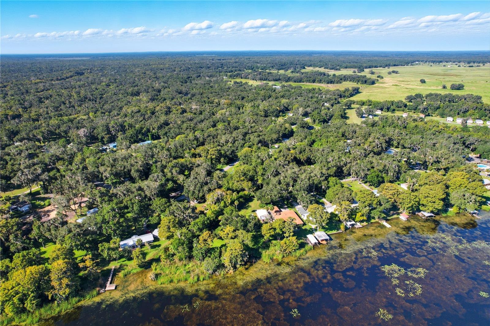 IDLEWILD PARK LAKE PANASOFFKEE - Land