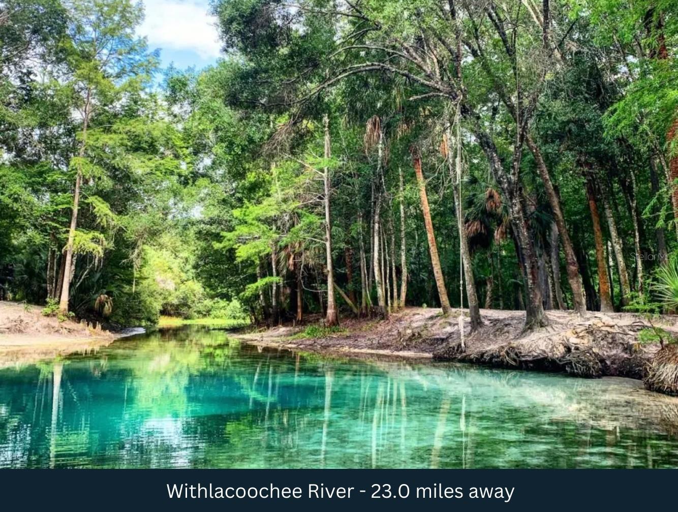 IDLEWILD PARK LAKE PANASOFFKEE - Land