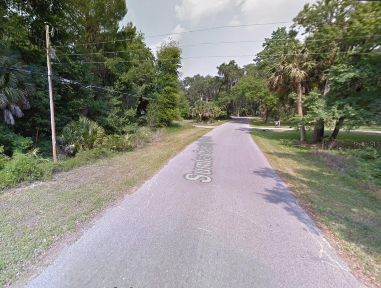 IDLEWILD PARK LAKE PANASOFFKEE - Land