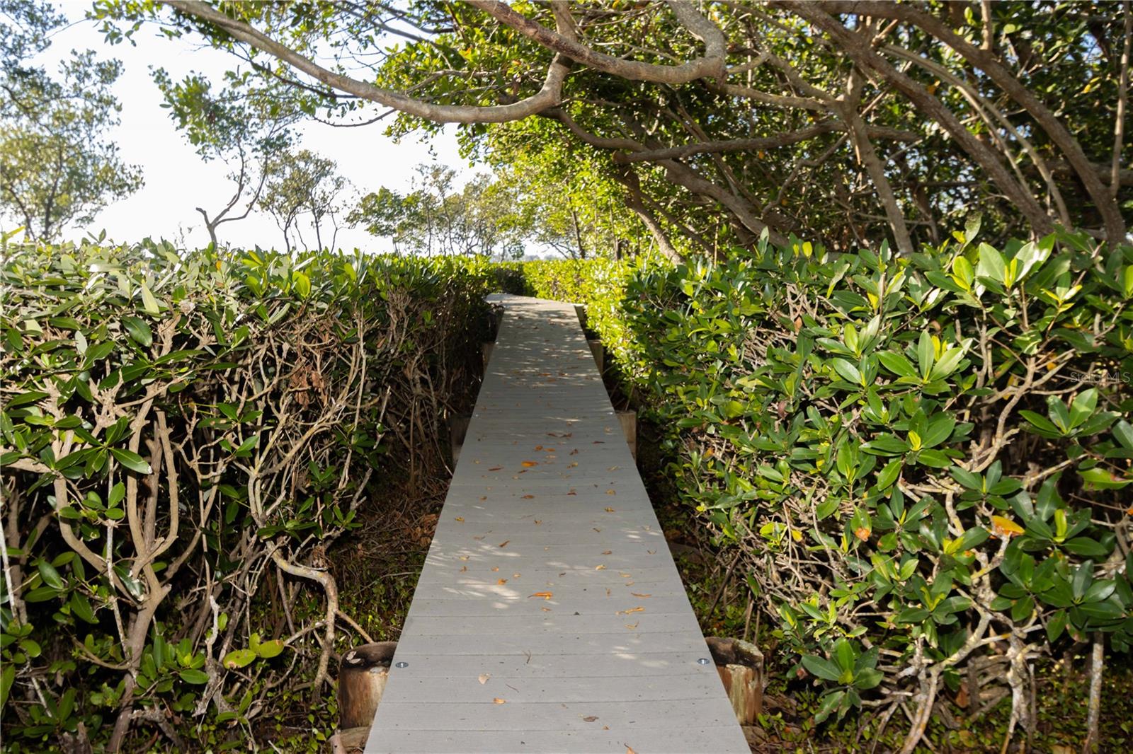 KENSINGTON OAKS - Residential