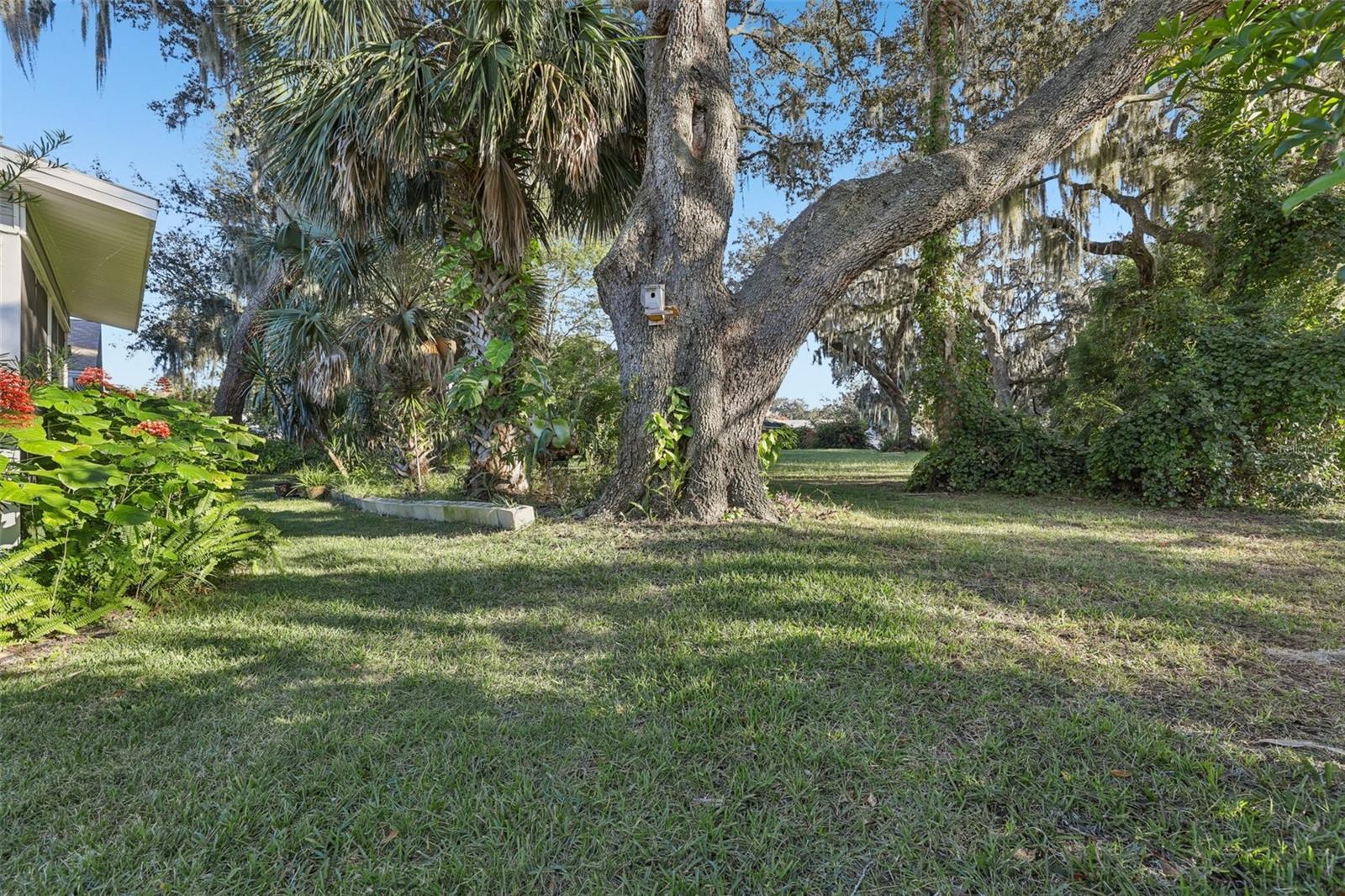 SCOTTISH HIGHLANDS CONDO - Residential