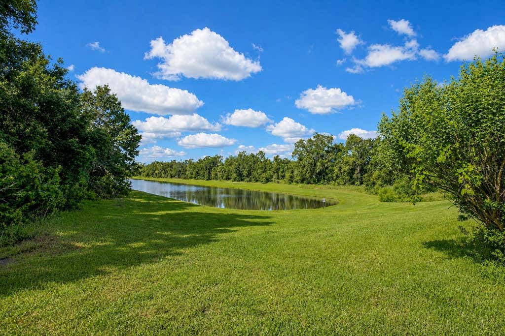 Photo of 30801 Parrot Reef Court, Wesley Chapel, FL 33545 (MLS # TB8537625)