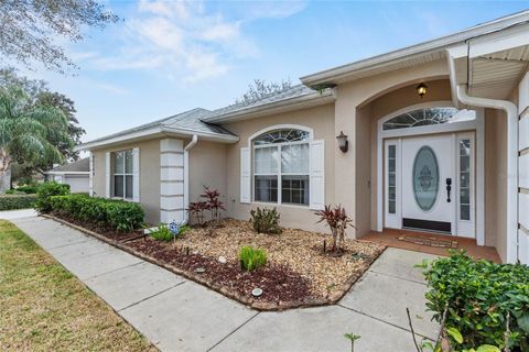 A home in EUSTIS