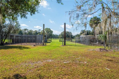 A home in PLANT CITY