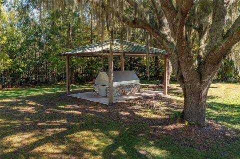 A home in PLANT CITY